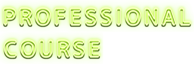 PROFESSIONAL COURSE